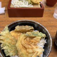 Tempura at Flowers - Tachibana in Hiroshima