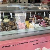 A full counter of vegan flavours  at Yummy Helados in Malaga