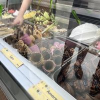 Vegan ice cream   at Yummy Helados in Malaga