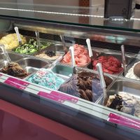 Many different vegan options at Yummy Helados in Malaga