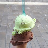 Rochy and After eight at Yummy Helados in Malaga