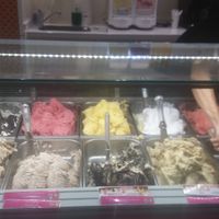 12 home vegan ice creams at Yummy Helados in Malaga