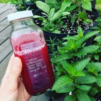 Spicy Summer Juice at ReU Juicery & Organic Kitchen in Troy