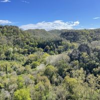   at Grotta Dei Germogli in Calcata