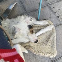   at Plan Bakery Cafe in Tenerife