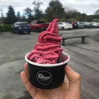 Had a few mouthfuls from the side but had to get a photo of the vegan fresh fruit ice cream!! Delicious and awesome to see  at Toad Hall in Motueka
