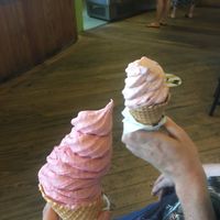 real fruit ice cream  at Toad Hall in Motueka
