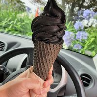  at Toad Hall in Motueka