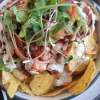  at Toad Hall in Motueka