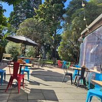  at Toad Hall in Motueka