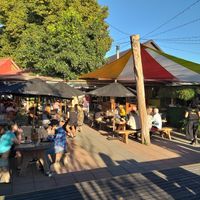 Backyard and terrace at Toad Hall in Motueka