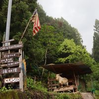 From the outside - They keep 3 goats  at Engawa Cafe and Guesthouse in Wakayama