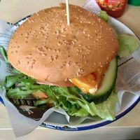 Vegan tofu burger at Full of Beans Cafe in Franz Josef Waiau
