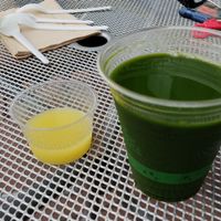 mean green juice and ginger shot at Superfood Bar in Denver