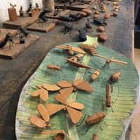 Gorgeous hand crafted wooden bugs.  at Cafe Bonte in Tanabe