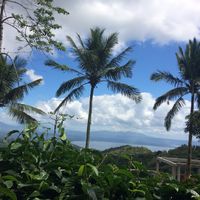 Nice view at Bag of Beans in Tagaytay