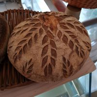 Nom nom at Kucha in Ljubljana