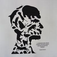 inside wall at Fast Vegan in Castelo Branco