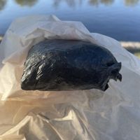   at Onigirazu in Prague