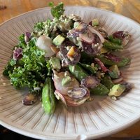 The Spring Salad with a creamy vegan topping.  at New Sydney Hotel in Hobart
