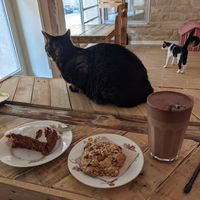 Au Bonheur Des Chats Lyon Restaurant Happycow