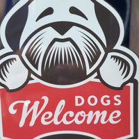   at The Glasvegan in Glasgow