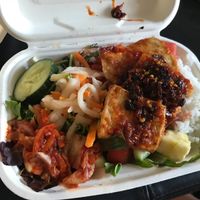Salad box with rice and tofu  at Red Panda in Lyme Regis