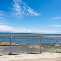 ...by the sea at Red Panda in Lyme Regis