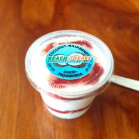 Coconut ice cream with raspberry at Almacen Organic & Natural in Tamarindo