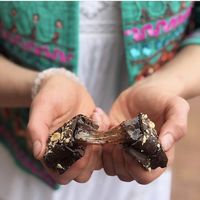 Caramel choc bar  at Presto Eatery in Mount Gambier