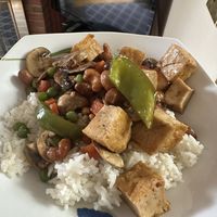 Cashew tofu  at Little Dragons in Columbus