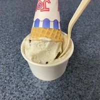 Mint chocolate chip  at Mt. Tom's Ice Cream in Easthampton