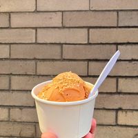thai iced tea ice cream made with coconut milk, topped with toasted coconut  at Mt. Tom's Ice Cream in Easthampton