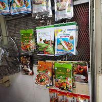 Various kind of vegan and vegetarian items at Jing Yuan Vegetarian 靜苑素 in Central Singapore