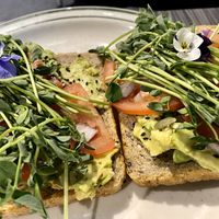 Millennial Toast at nightshop in Bloomington