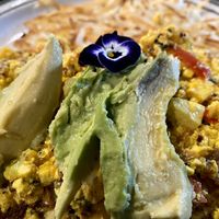 Tofu scramble with avocado and hash browns  at nightshop in Bloomington