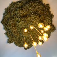 The ceiling at Matrjoska Kroshka vegan restaurant. at Matrjoska Kroshka in Budapest