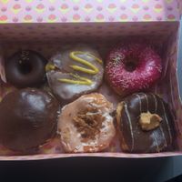 (Left to right, first row then second) chocolate cake donut, mango filled, hibiscus sprinkle, Boston cream, toasted coconut, peanut butter at Brammibal's Donuts - Prenzlauer Berg in Berlin