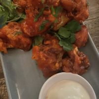   at Small Bar in Crows Nest