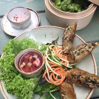 Edamame and Fried Rice paper rolls.  at Vietal-Kitchen in Hannover