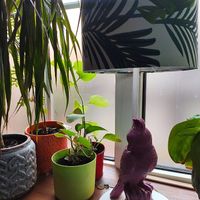  at Bez Lukru in Wroclaw