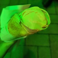 Falafel Rolle mit Humus at Falafel Star in Bochum