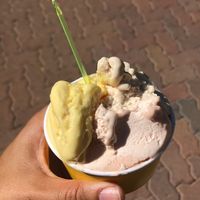 Vegan gelato - gauva, passionfruit & tamarind at Cool Gelato Italiano in Scottsdale