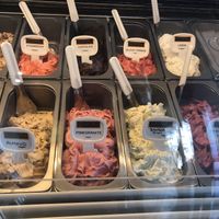 8 vegan flavours to choose from  at Cool Gelato Italiano in Scottsdale