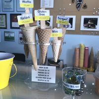 They also had a vegan waffle bowl  at Cool Gelato Italiano in Scottsdale