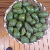   at Warehouse Ecological and Natural Products in Istanbul