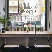  at Moko Veggie Cafe - Anjos in Lisbon