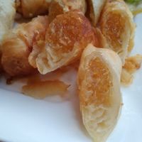 Thats not spring rolls. really... at Burinda in Ayutthaya