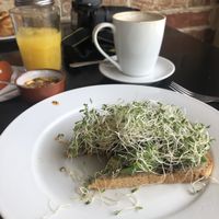 Avocado toast con champiñones  at Basic Foodie in Playa Del Carmen