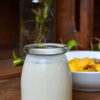 fruit with vegan yogurt at Basic Foodie in Playa Del Carmen